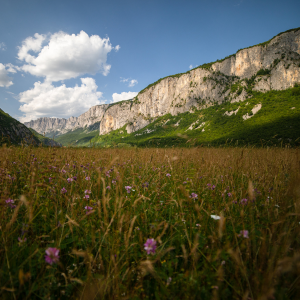 Flora and fauna in Šavnik