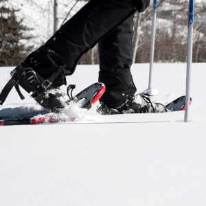 Snowshoeing