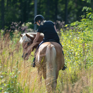 Horseback Riding
