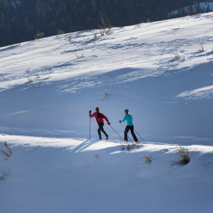 Cross-Country Skiing