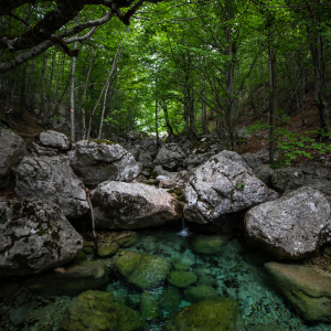 Nature park