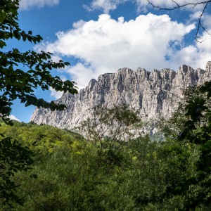 Hiking