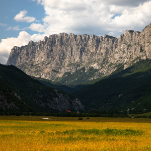 Mountains