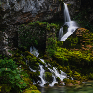 Uniqueness of Šavnik