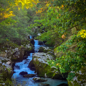 Bijela River
