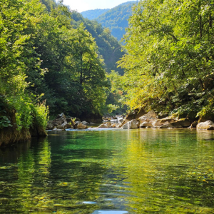 Bukovica River