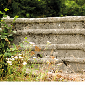 Medieval tombstones